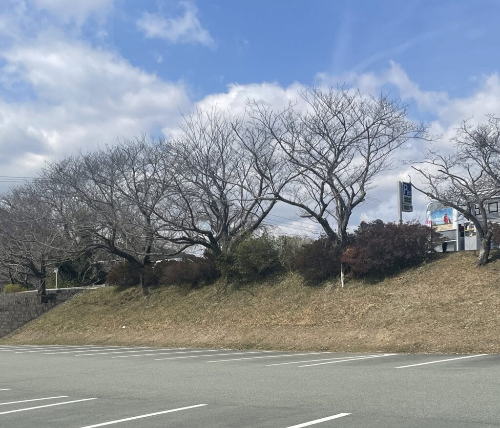 伊勢神宮内宮市営駐車場